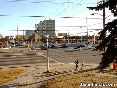 janefinch_intersection.jpg