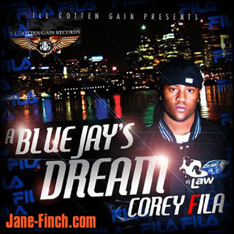 Corey Fila music album cover for A Blue Jay's Dream